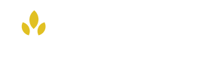 Scargill Infant School